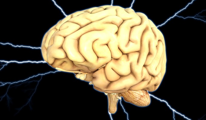 Найдена связь между совершением преступлений и повреждениями мозга