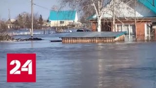 На Алтае село ушло под воду за два часа - Россия 24