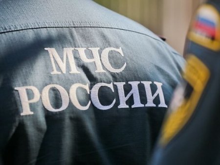 В МЧС объяснили хронологию первоначальных действий пожарных в ТЦ в Кемерове