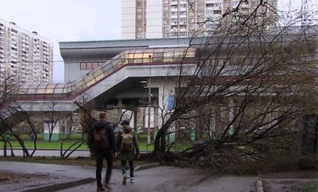 Синоптики рекомендуют россиянам привыкать к страшным ураганам