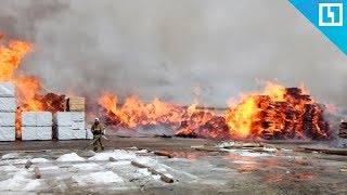 Последствия пожара на лесопильном заводе