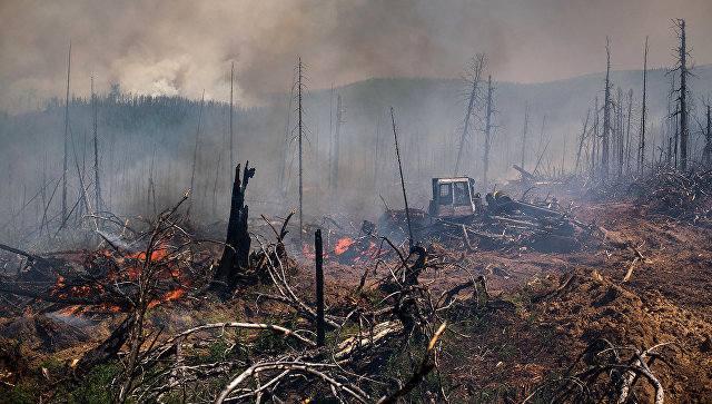 Площадь лесных пожаров В ДФО увеличилась на 20 тысяч гектаров за сутки