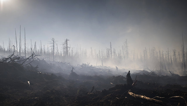 На Дальнем Востоке отметили рост площади лесных пожаров
