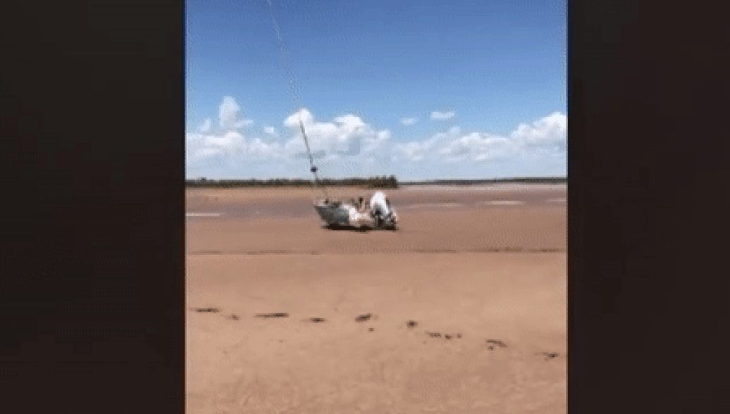 В Австралии спасли рыбака, который провел два дня среди крокодилов - РИА Новости, 08.04.2018