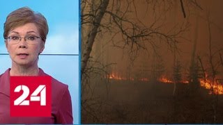 "Погода 24": Дальний Восток России страдает от лесных пожаров - Россия 24