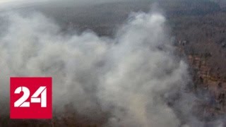 Дальний Восток остается во власти лесных пожаров - Россия 24