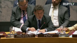 Заседание Совбеза ООН по проектам резолюций РФ и США о механизме расследования химатак в Сирии