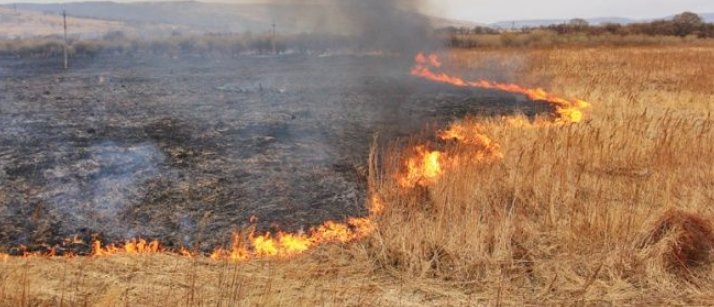 Пожары в «ЛНР»: Погибли двое мужчин