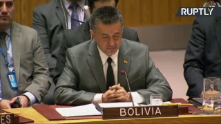 Заседание Совета Безопасности ООН по сирийскому вопросу – LIVE