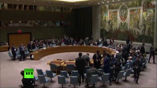 Экстренное заседание Совбеза ООН — LIVE