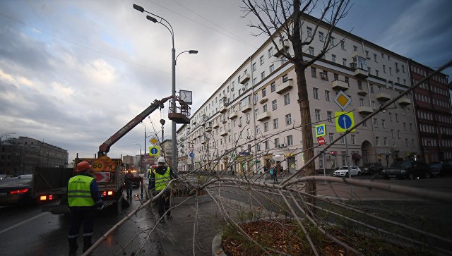 В Москве при урагане пострадали 17 человек