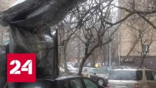 Синоптики пугают резким понижением температуры и снегом - Россия 24