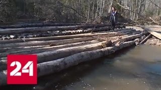 Подтопило, но не затопило: в Новгородской области восстанавливают дороги - Россия 24