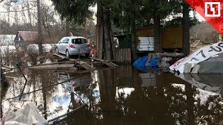 Потоп в Ленобласти