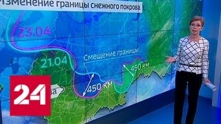 "Погода 24": регионы центральной России и Поволжья приходят в себя после штормового ветра - Россия…