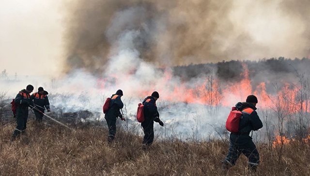 В Иркутской области за сутки возникли 17 лесных пожаров