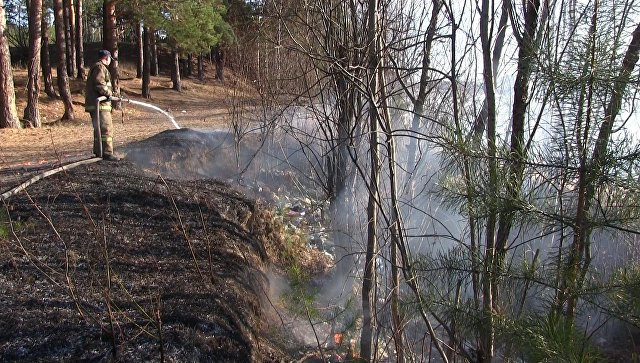 На Дальнем Востоке за сутки возникло почти 60 новых лесных пожаров