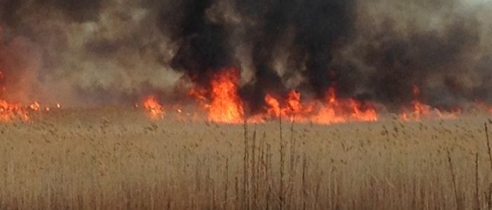 Часть Красногоровки осталась без воды