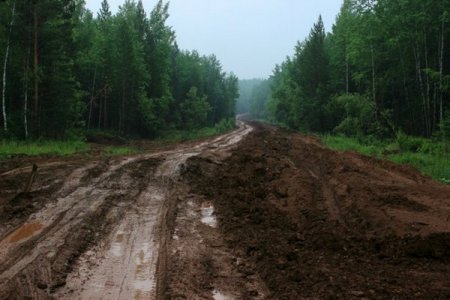 Жители Суздальского района утопили автомобиль в грязи