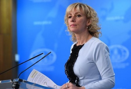 "Заврались": Захарова прокомментировала заявление премьера Чехии о "Новичке"