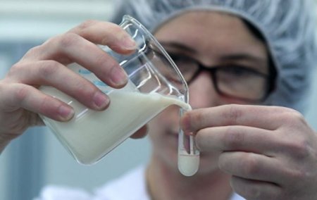 Роспотребнадзор обнаружил фальсификат в молочной продукции в России