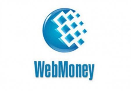 На Украине из-за запрета WebMoney заморозили счета 4 млн человек