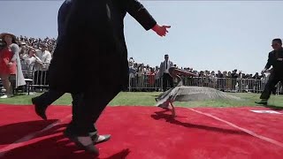 Pelican crashes US university graduation