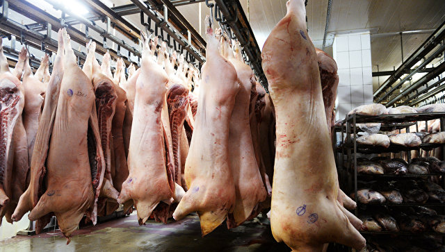 Россия ограничила поставки свиней и свиноводческой продукции из Венгрии