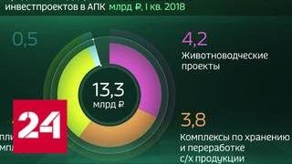 Россия в цифрах. Кредитование АПК Россельхозбанком - Россия 24