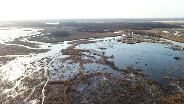 В Забайкалье рассказали, как будут решать проблему смытого рекой моста