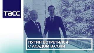 Путин встретился с Асадом в Сочи