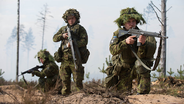 В Эстонии прошли противоминные учения НАТО