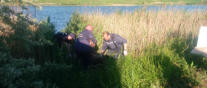 На Донетчине женщина утонула в городском водоеме (Фото)