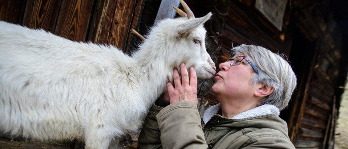 «Две Екатерины»: Переселенка из Луганщины и львовянка создали козью ферму