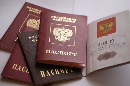 МВД планирует упростить процедуру получения российского гражданства