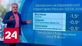 "Погода 24": похолодание сменится теплом, а потом опять похолодает - Россия 24