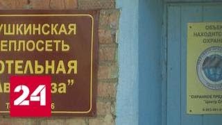 Не сезонное отключение: город Пушкино лишили горячей воды - Россия 24