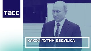 Какой Путин дедушка