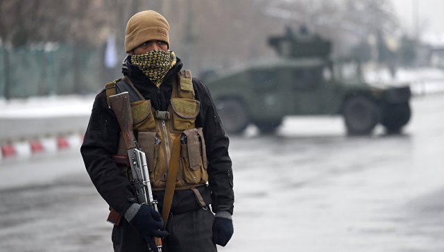 Россия призвала талибов* позитивно отнестись к предложению о перемирии