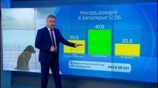 "Погода 24": что ждет болельщиков в первые дни ЧМ по футболу - Россия 24