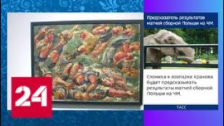 В ГМИИ имени Пушкина открылась футбольная выставка - Россия 24