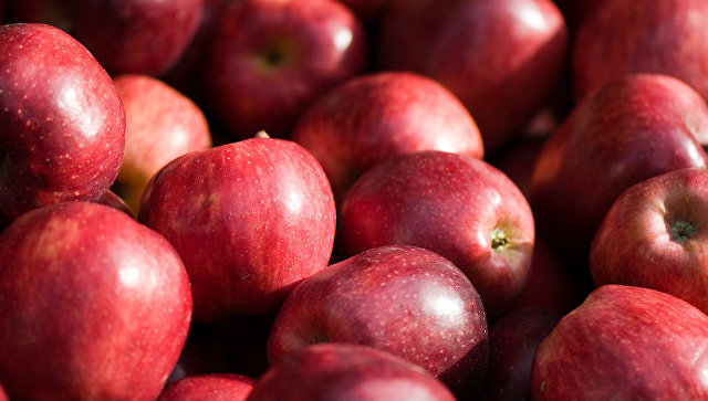 Смоленская таможня задержала две фуры с 40 тоннами польских яблок