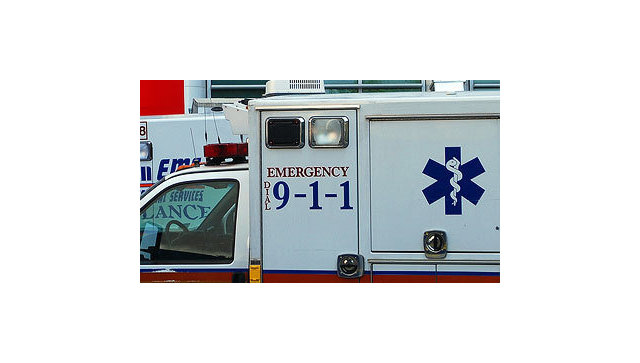 В США пять нелегальных мигрантов погибли в ДТП