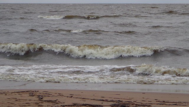 Водолазы обследуют севший на мель в Финском заливе сухогруз