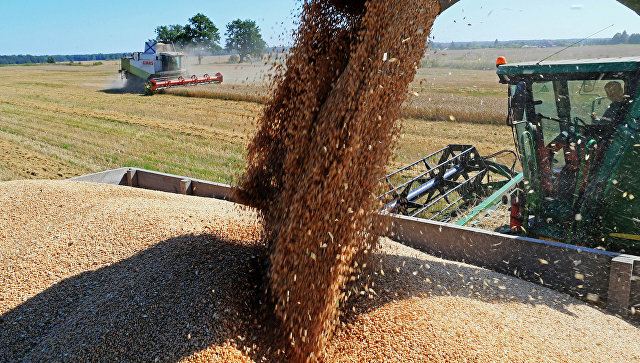 В Минсельхозе спрогнозировали урожай зерна в 2018 году