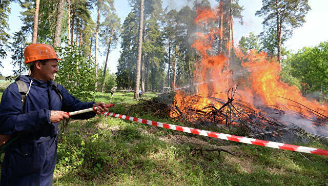 В Югре ликвидировали пять лесных пожаров общей площадью 572 гектара