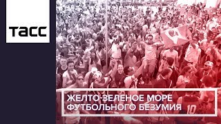 Желто-зеленое море футбольного безумия