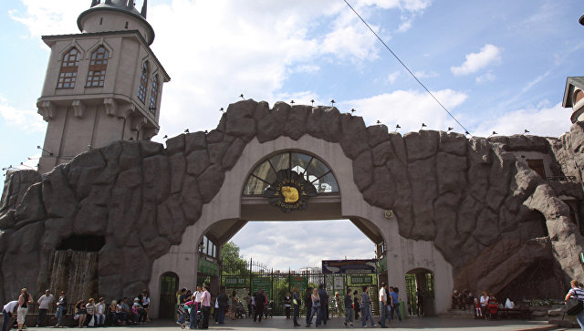 Московский зоопарк в июле будет работать до 21.00
