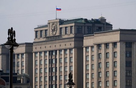 В Думе прокомментировали заявление Порошенко о возможном «нападении» России на Мариуполь