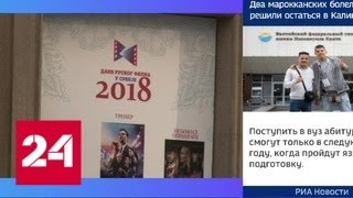Фильм "Тренер" стал хедлайнером фестиваля российского кино в Сербии - Россия 24